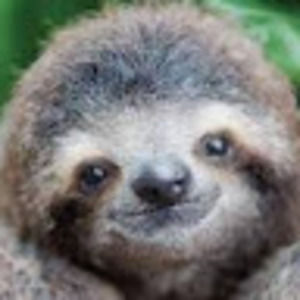 Meet your Posher, Annaliese.